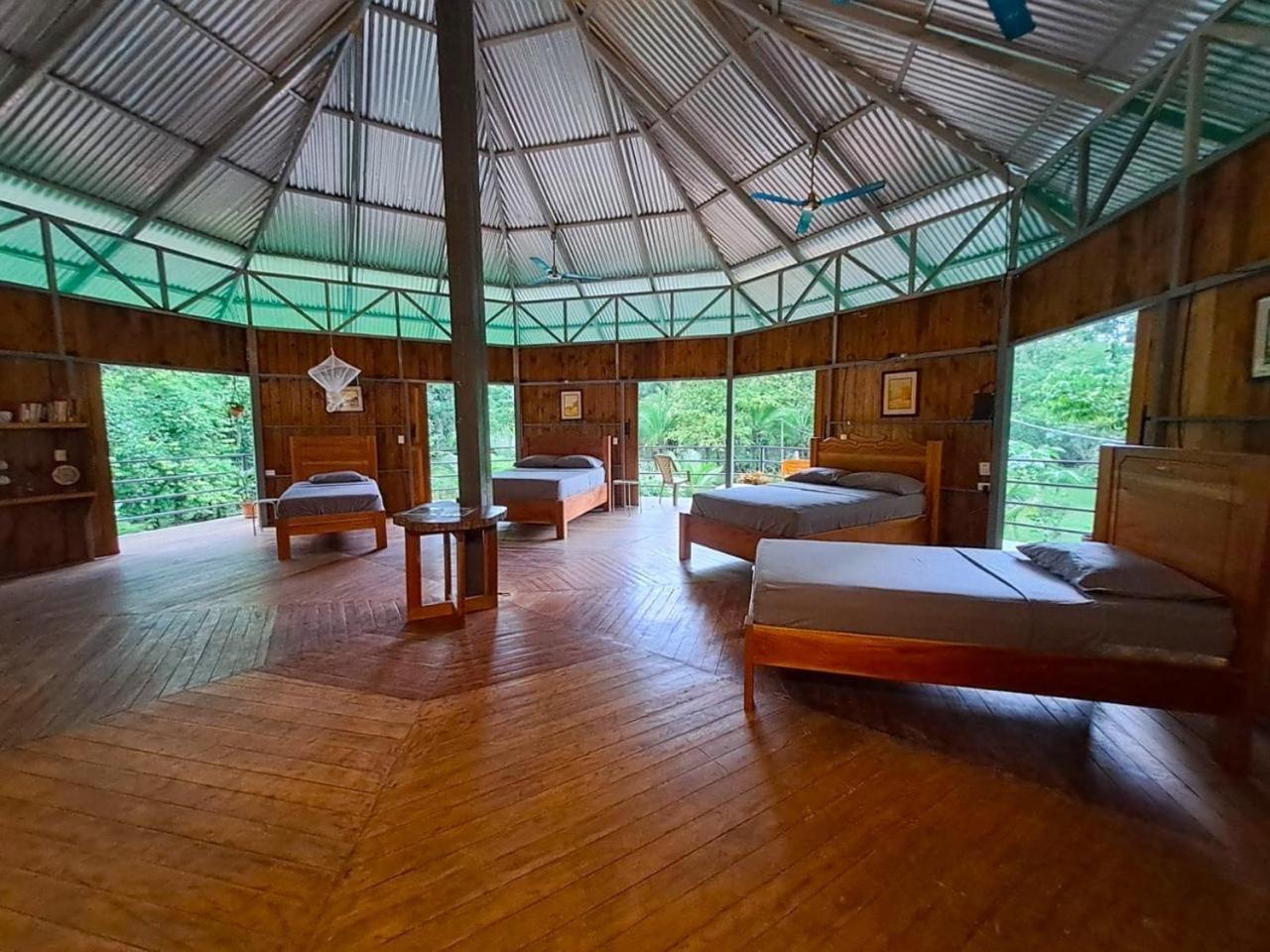 La Amapola Lodge, Bungalow En Peninsula De Osa. Barrigones エクステリア 写真